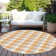  Machine Washable Indoor/Outdoor Chayden ACN1053 Rug