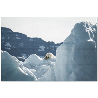 Bear Photo 4.25'' x 4.25'' Satin Ceramic Decorative Mural