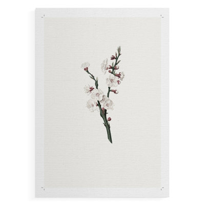 Imprimé floral rétro CLxxxiv - impression sur toile seulement - non encadrée