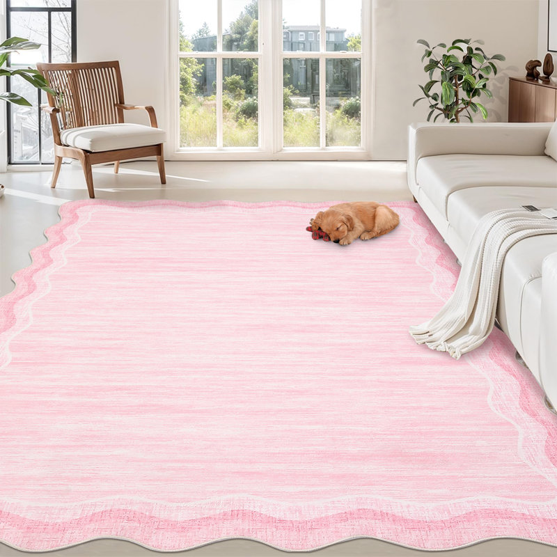 Bordered Design Machine Washable Rug with Rubber Backing for Living Room Modern Non-Slip Dining Room Rug Easy-Cleaning Floor Carpet for Bedroom