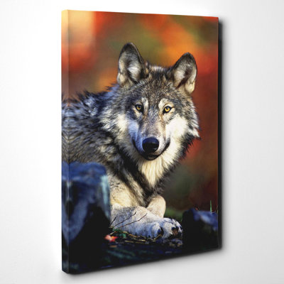 Wrapped Canvas Print