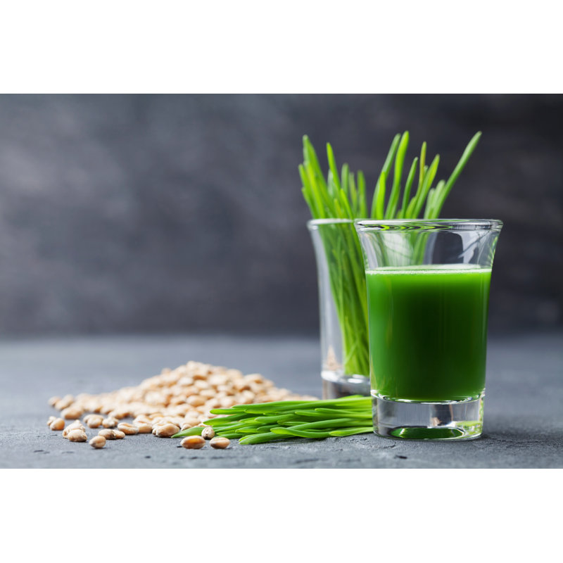 Wheat Grass Juice 1 Piece Wrapped Canvas Wall Art, 81cm H x 122cm W