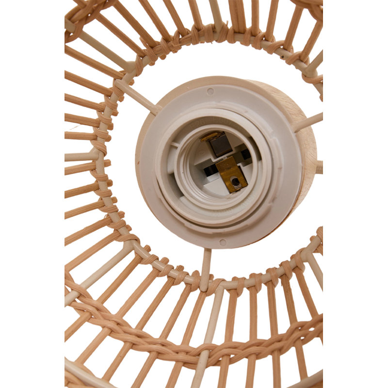 1 - Light  Pendant