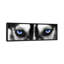 «Husky Eyes», impression sur toile-21492336-71997673