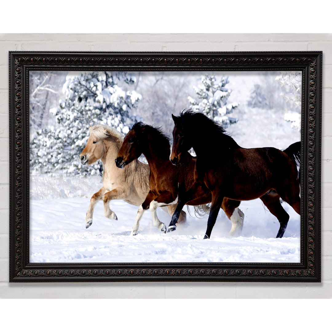 Wild Winter Horses Running - Einzelne Bilderrahmen Kunstdrucke