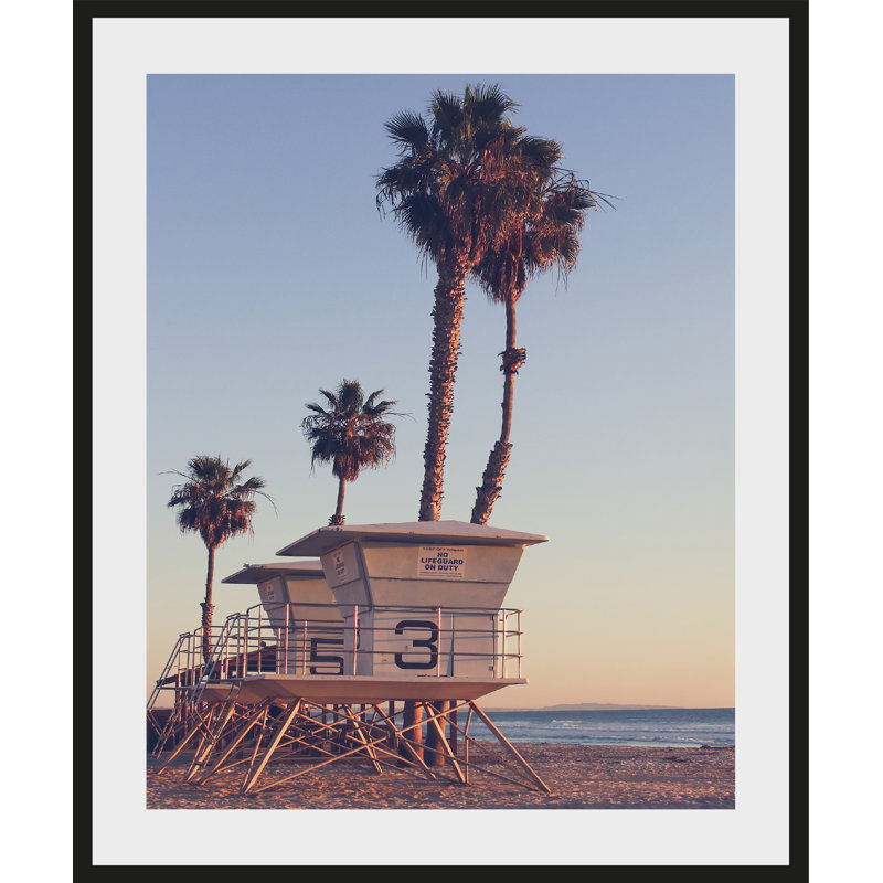 Palm - Single Picture Frame Print, 50 cm H x 60 cm W