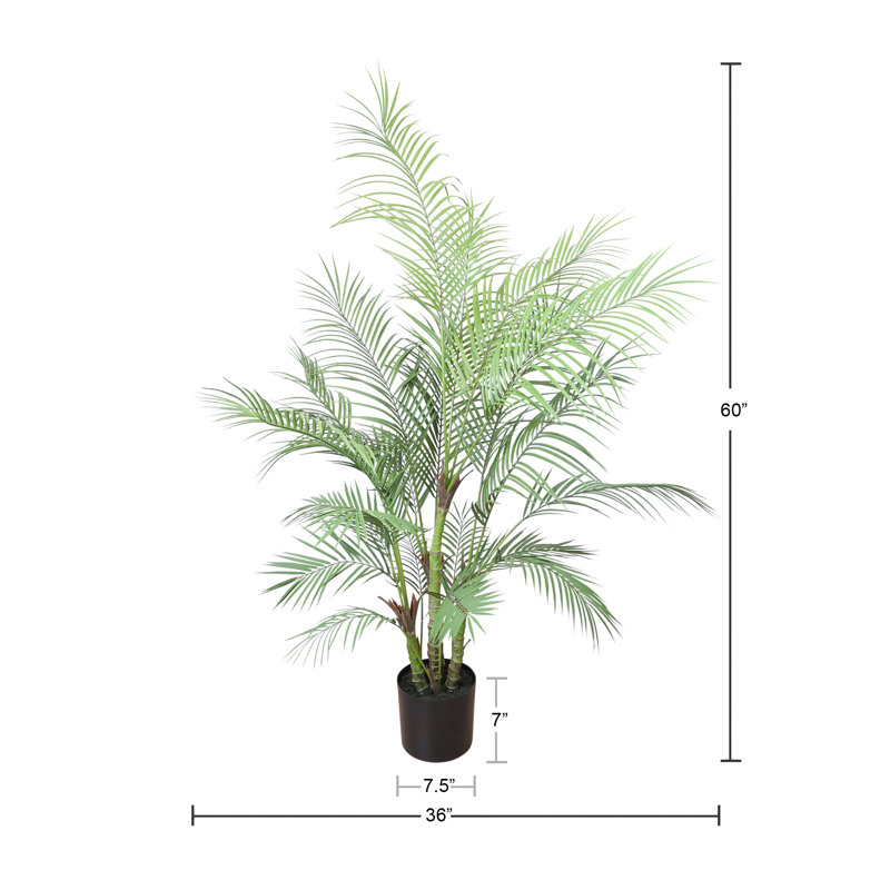 5' and 5.5' Outdoor UV Rated Kentia Palm Drop-In Trees, 60" H x 36" W x 36" D