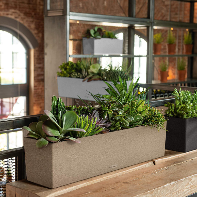 Balconera Window Box Planter, Sand Beige, 19 cm H x 79 cm W x 19 cm D