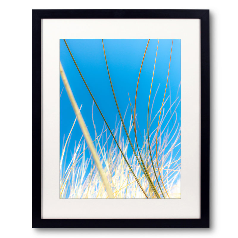 Dune Grasses Print by Petra Trimmel, 21.2" H x 17.2" W , 20" H x 16" W