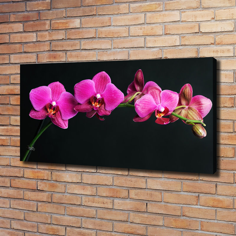 Orchid - Wrapped Canvas Print