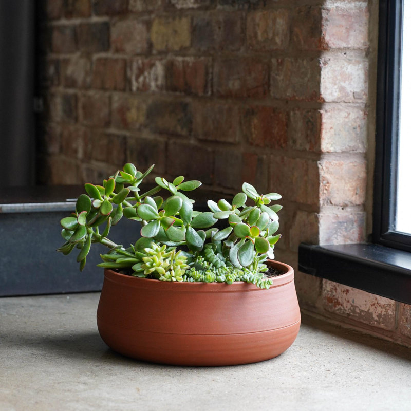 Kew Handthrown Statement Bowl, 12 cm H x 30 cm W x 30 cm D, Umber