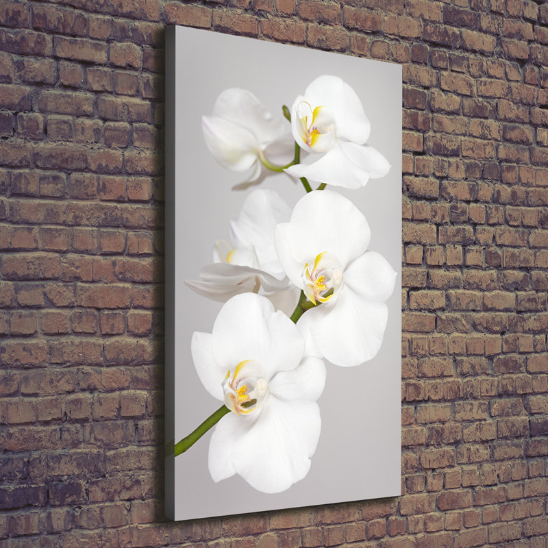 White Orchid - Wrapped Canvas Print