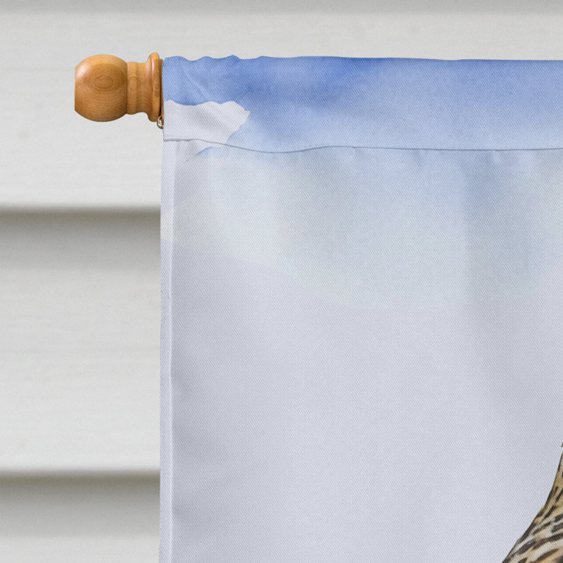 House Flag, Nebraska Western Meadowlark
