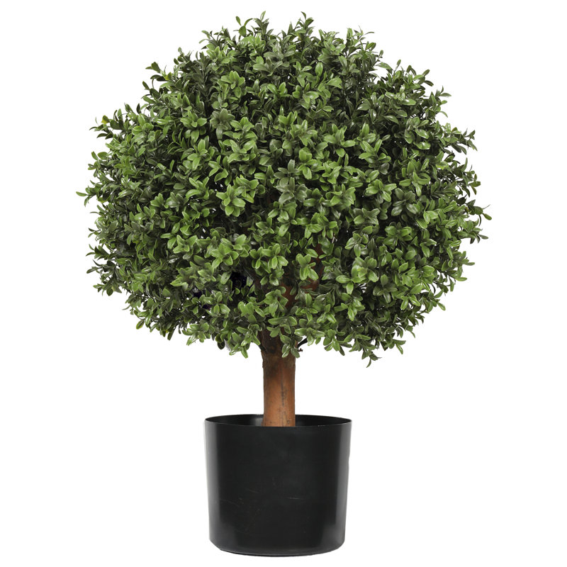 Topiaire UV boule de buis 16 x 25 po, H 25 po x l 16 po x P 16 po