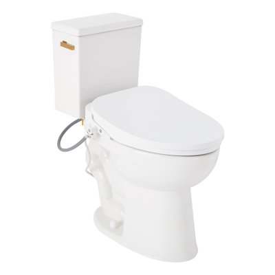 Lavrik Two-Piece Elongated Toilet with Reversible Tank - Bidet Seat  - Brushed Gold Handle
