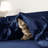 Sateen Duvet Cover-322343612-322343605