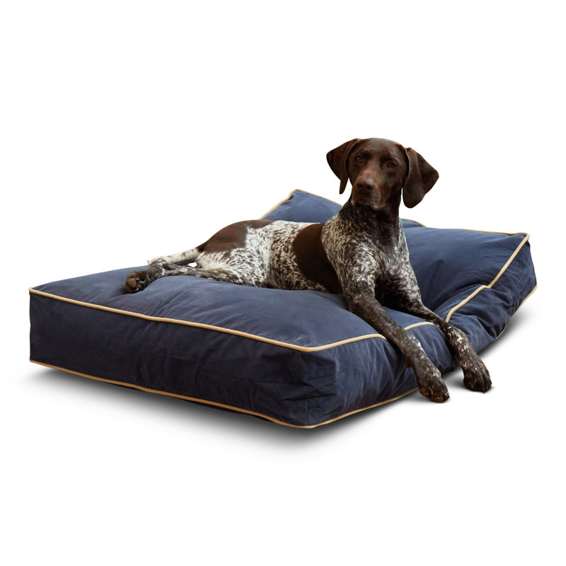 Lit pour chien Olivarez Classic, Moyen (L 42 po x l 30 po x H 6 po), En jean