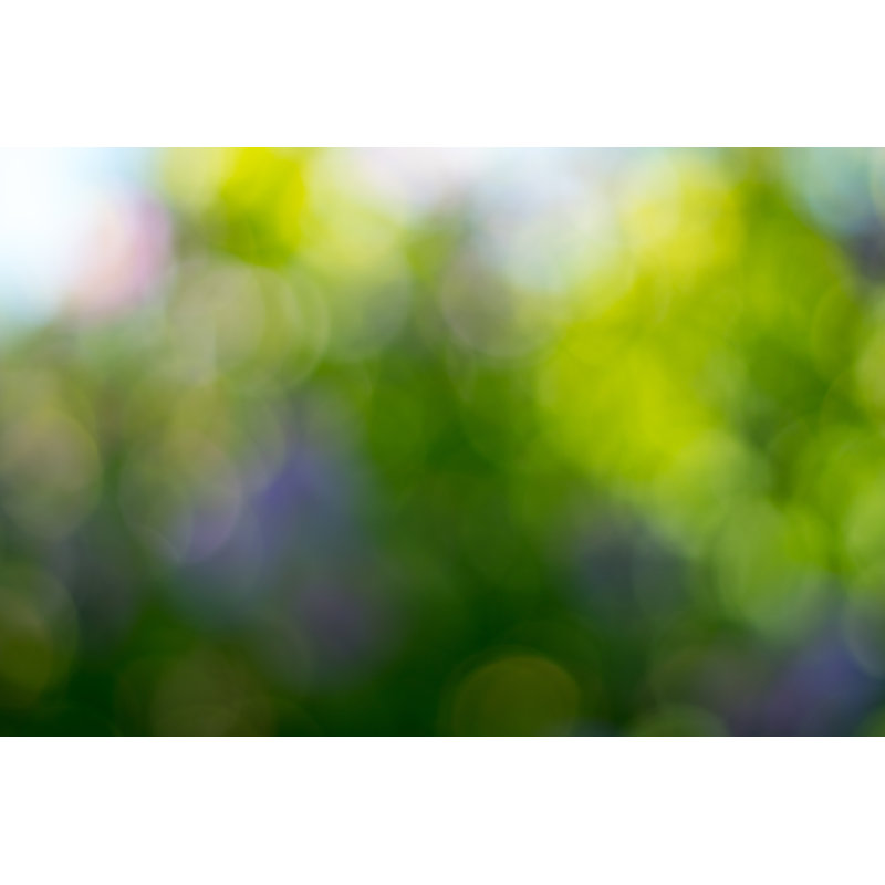 Deep Green Background by Zuki, 24" H x 36" W