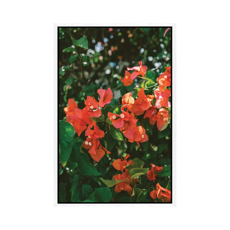 Tropical Hawaii IV by Bethany Young - Print on Canvas, 152.4cm H x 101.6cm W x 3.81cm D, White Framed