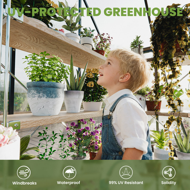 Polycarbonate Greenhouse, Large Walk-in Garden Greenhouse with Lockable Door, 6.4' H x 4' W x 6' D