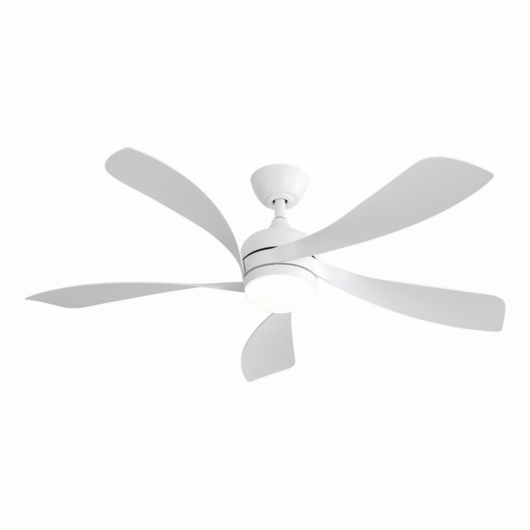 Refton Whisper Bloom Ceiling  Fan with LED Lights