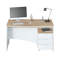 Diora Writing Desk