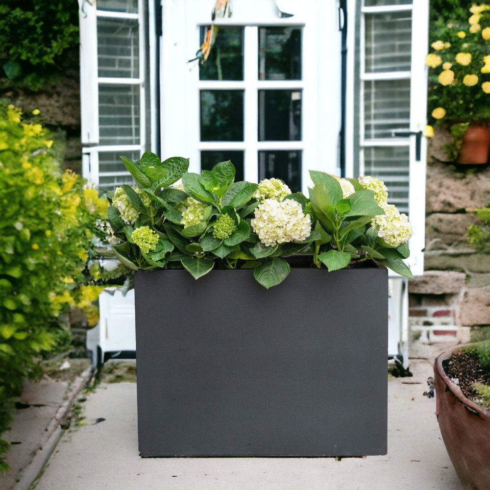 Connoisseur Planter Box, Black, 30" H x 36" W x 12" D