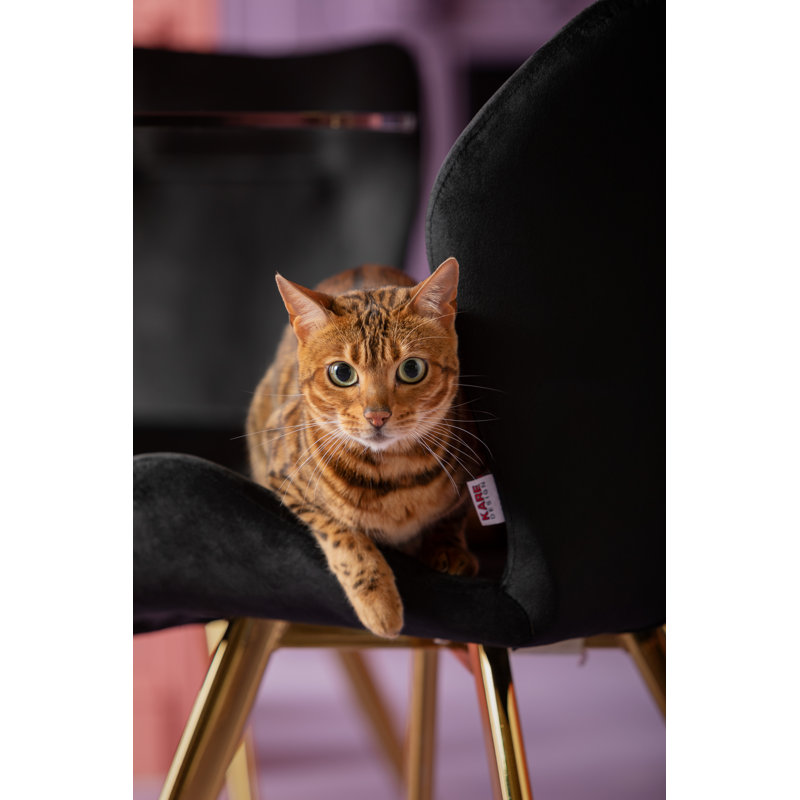 Viva Upholstered Dining Chair, Gold, Black