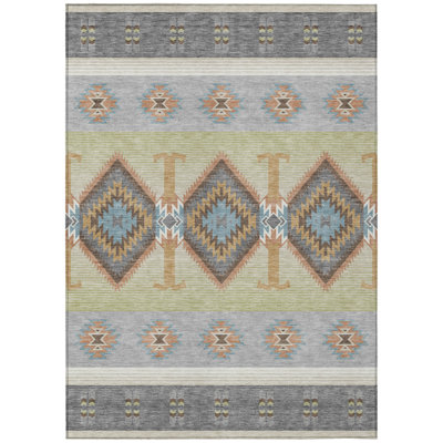 Machine Washable Indoor/Outdoor Chantille ACN2541 Lodge Rug