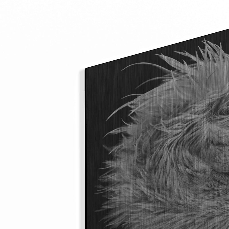 Bad Hair journée, H 12 po x l 12 po