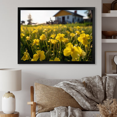 " Yellow Buttercups At The Farm I "