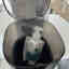 Customer photo 2 of 4