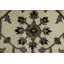Tapis oriental de style traditionnel 8 x 10