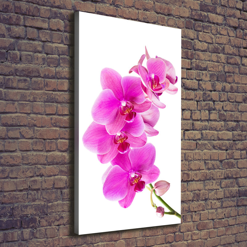 Water Lily - Wrapped Canvas Print