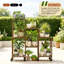 5 Tier Plant Stand
