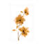 Art mural sur toile «bolivette St. Amant Golden Blooms II»-101099266