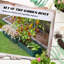 Bruun Set of 2 Raised Garden Bed, 110 x 50 x 30 cm-2134216047