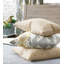 Downey Lumbar Pillow Cover & Insert