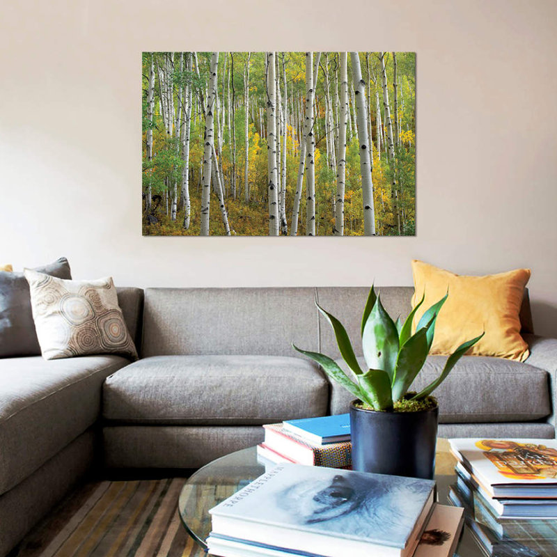 «Quake Aspen in Autumn, Colorado II», reproduction de photo sur toile, H 12 po x l 18 po x P 1,5 po, Pas de tapis
