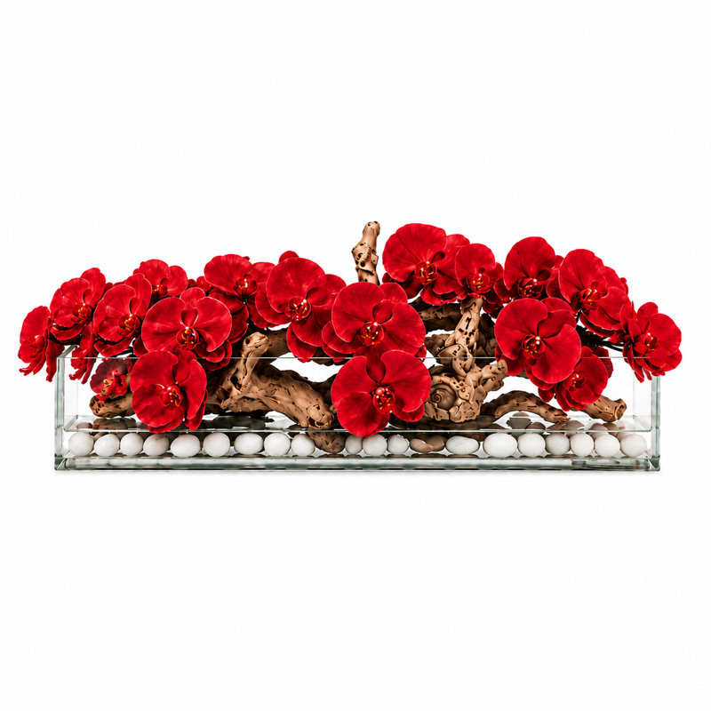 Arrangements floraux d'orchidées en pot, Red, H 12 po x l 36 po x P 6 po