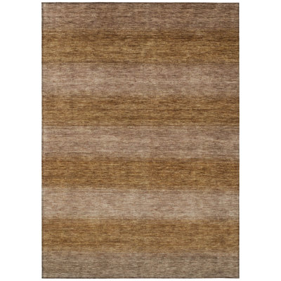 Machine Washable Indoor/Outdoor Xhevrie Brown Rug
