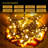 10.24'' String Lights