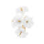 Hygea 1 Light Wall Sconce