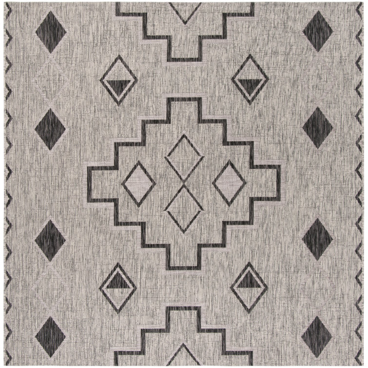Amarien Southwestern Indoor/Outdoor Area Rug