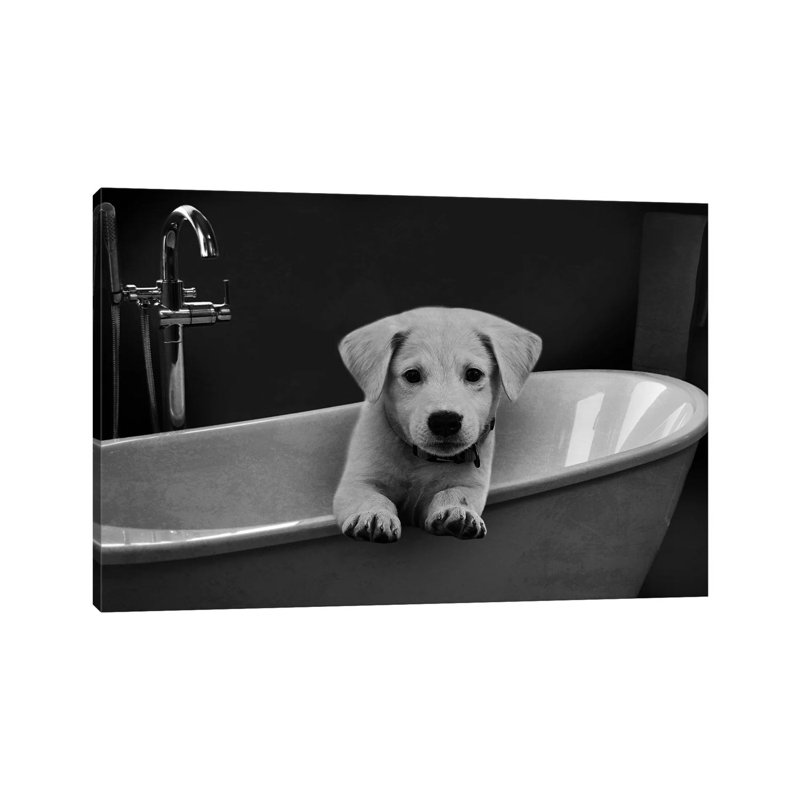 Bathroom Friend 1 by Marcus Prime - Wrapped Canvas Print, 20.32 cm H x 30.48 cm W