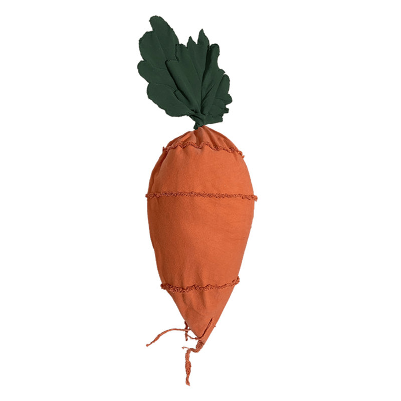 Bean Bag Cathy The Carrot