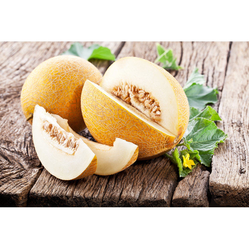 Ripes Melons - Wrapped Canvas Print, 81cm H x 122cm W x 3.8cm D