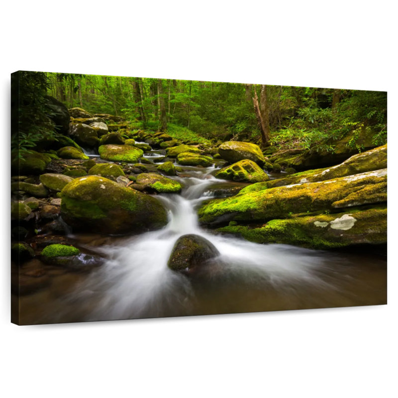Alvord Stream In Roaring Fork
