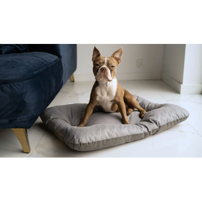 Solon Codura Pet Bed
