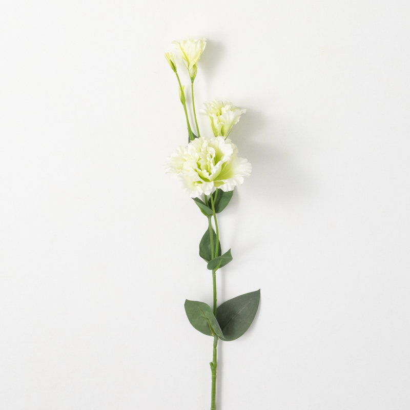 35 po Lisianthus, Vert